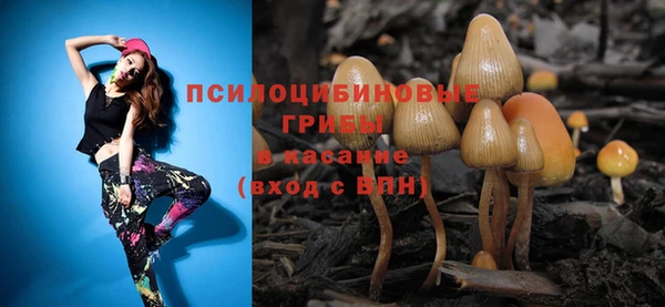 экстази Краснослободск