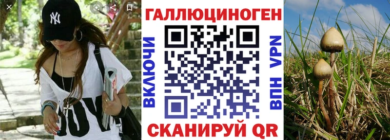 Галлюциногенные грибы Psilocybine cubensis  ссылка на мегу tor  Нелидово 