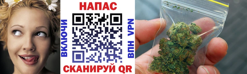 Конопля SATIVA & INDICA  Нелидово 